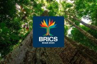 Bu da BRICS-in YENİ LOQOSU - Braziliya dünyaya hansı vesajı verir?